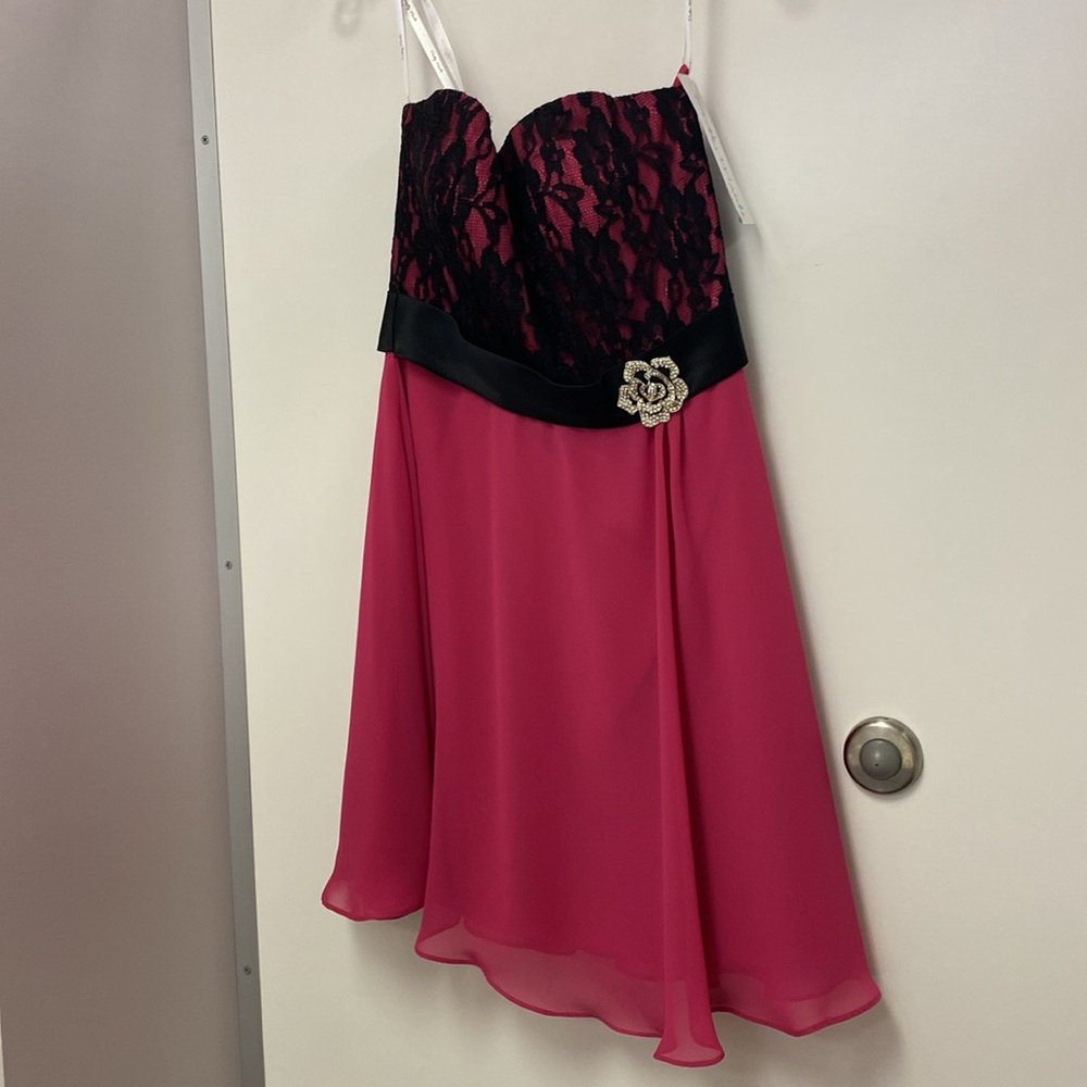 Black Lace and Pink Dress - Picture 3 of 5